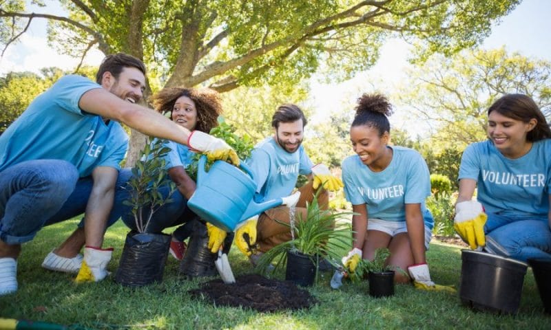 group-of-volunteer-planting.jpg group-of-volunteer-planting.jpg